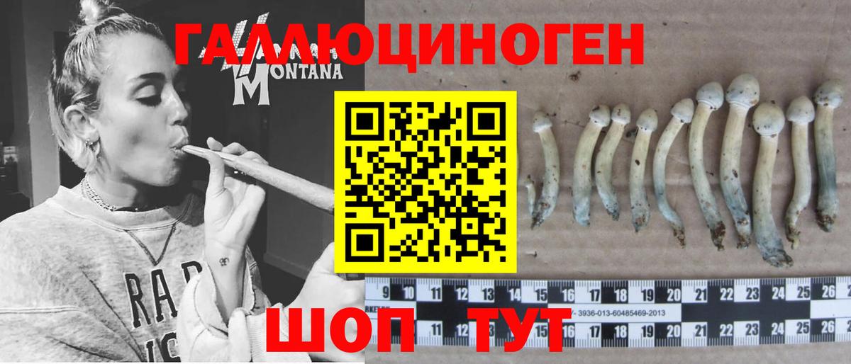 Соликамск  закладка  Вход с VPN  Галлюциногенные грибы Psilocybe 