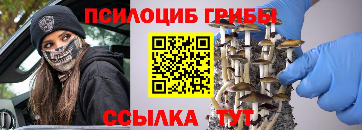 Псилоцибиновые грибы Cubensis Соликамск